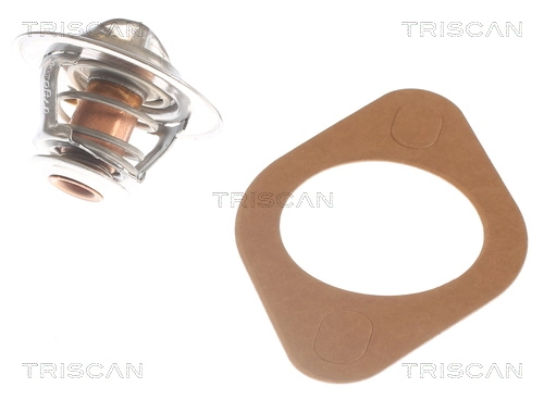 TRISCAN 8620 2091