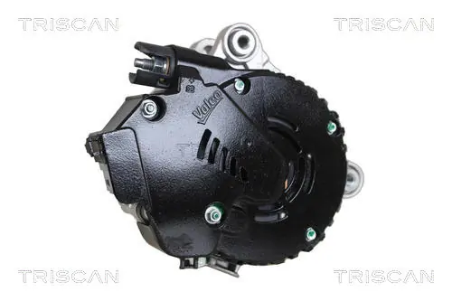 TRISCAN 8305 10002