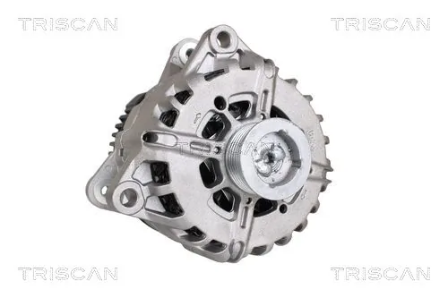 TRISCAN 8305 10001