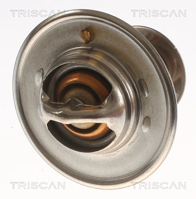 TRISCAN 8620 3291