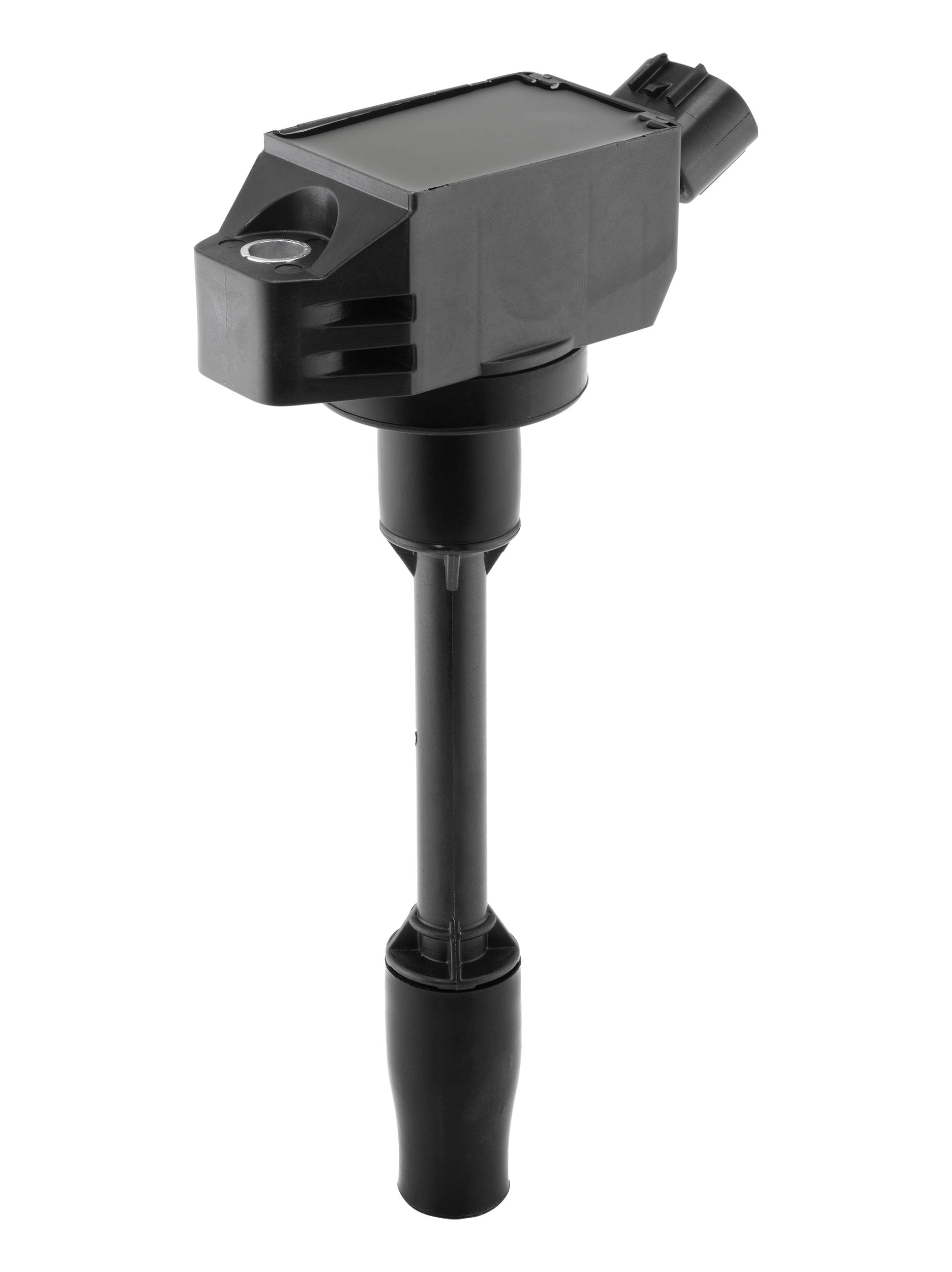 BorgWarner (BERU) ZSE318