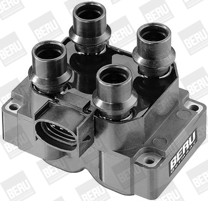 BorgWarner (BERU) ZS281