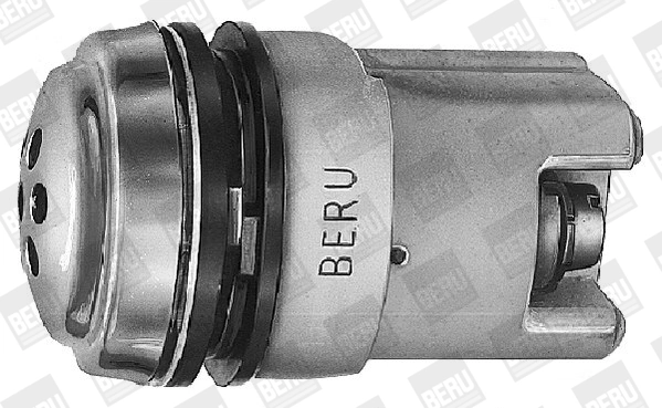 BorgWarner (BERU) KOBS