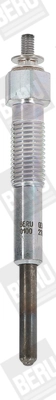 BorgWarner (BERU) GN043