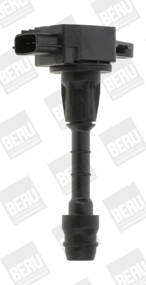 BorgWarner (BERU) ZSE188