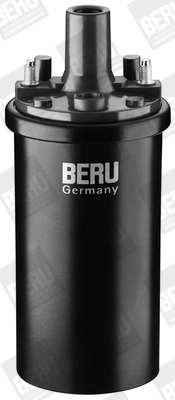 BorgWarner (BERU) ZS119