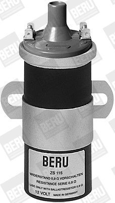 BorgWarner (BERU) ZS115