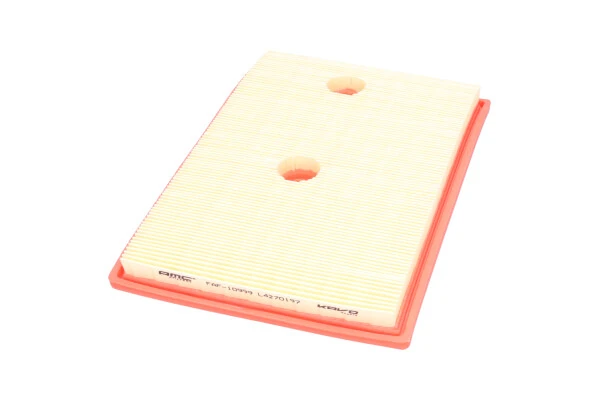 AMC Filter FAF-10999