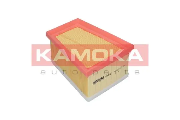 KAMOKA F202101