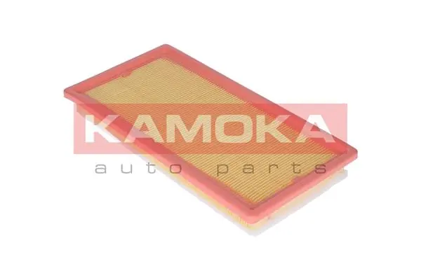 KAMOKA F217601
