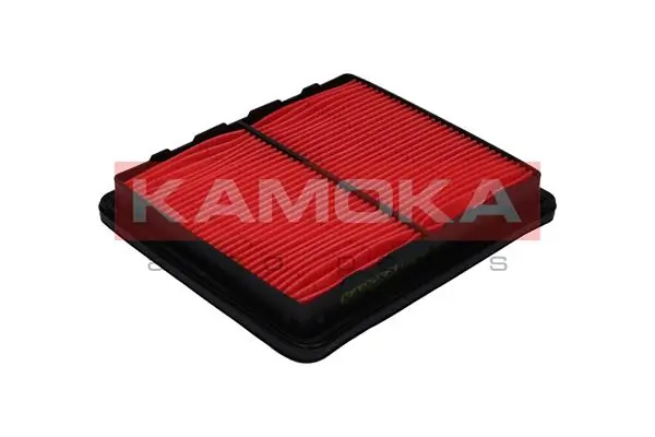 KAMOKA F207601