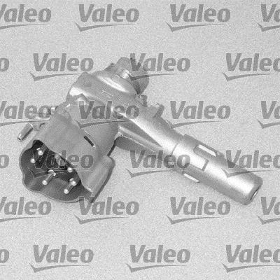 VALEO 256491