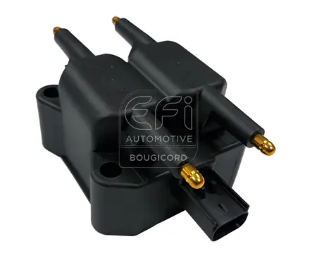 EFI AUTOMOTIVE 155509
