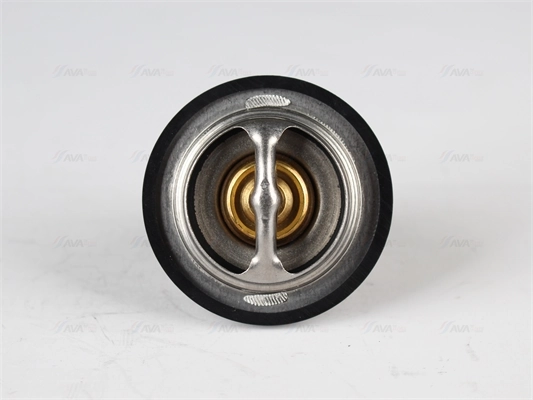 AVA Clever Choice CNTS006