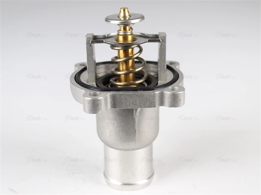 AVA Clever Choice OLTS012