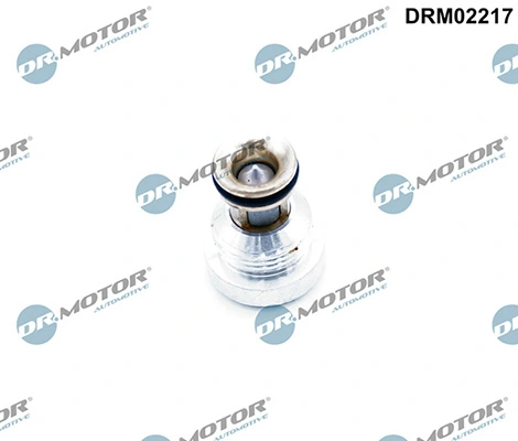 LIZARTE DRM02217