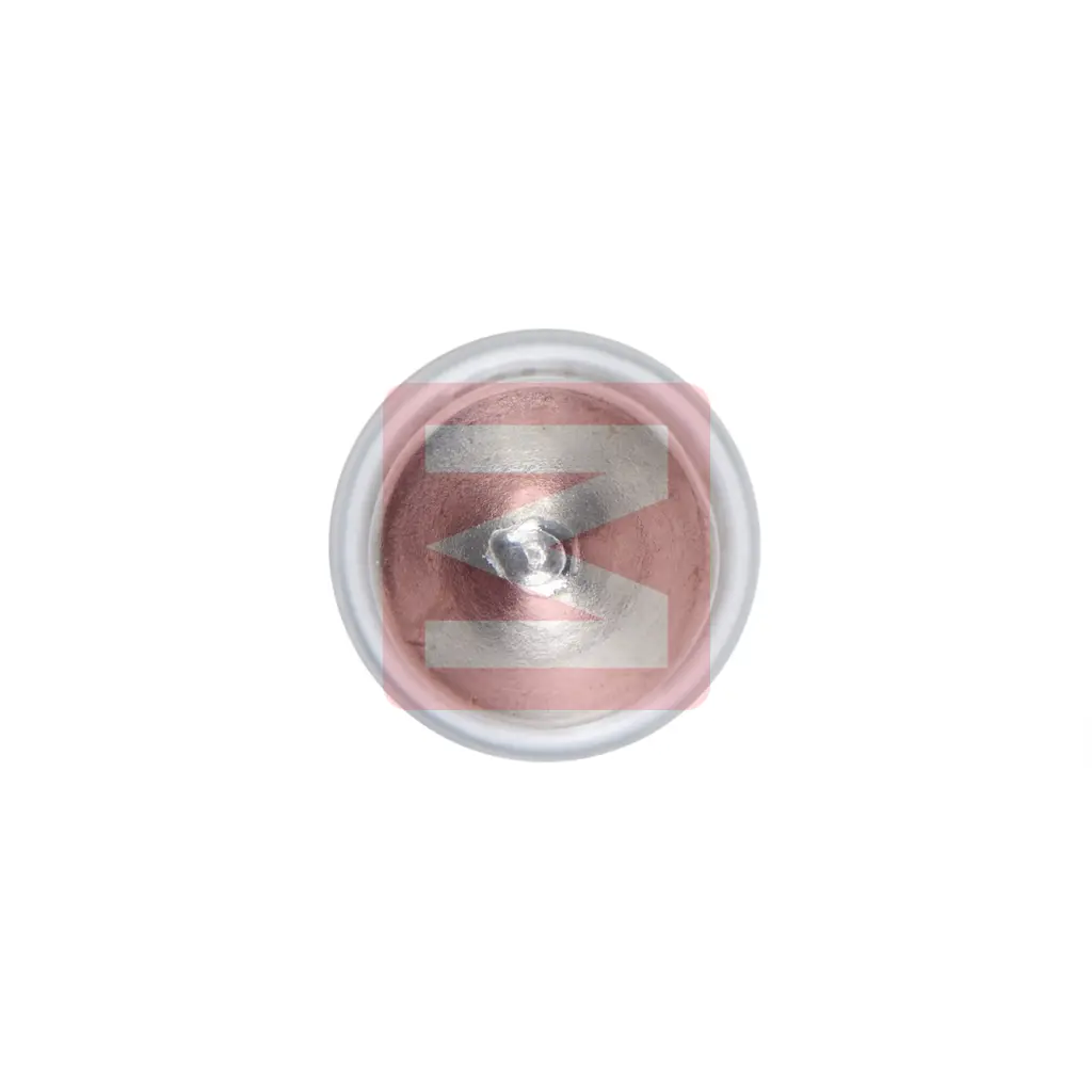 BOSCH 1 987 301 004