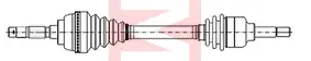 CIFAM 655-179