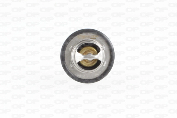 OPEN PARTS TRM1011.00