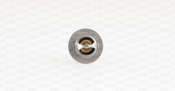 OPEN PARTS TRM1013.00