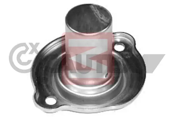 CAUTEX 031712