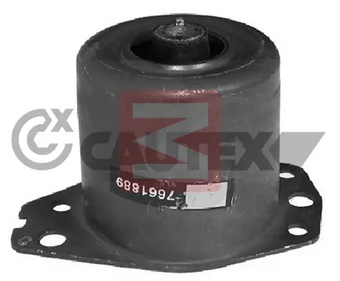 CAUTEX 756098
