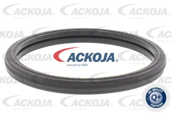 ACKOJA A63-99-0004