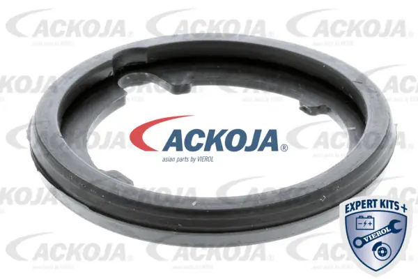 ACKOJA A26-99-0008
