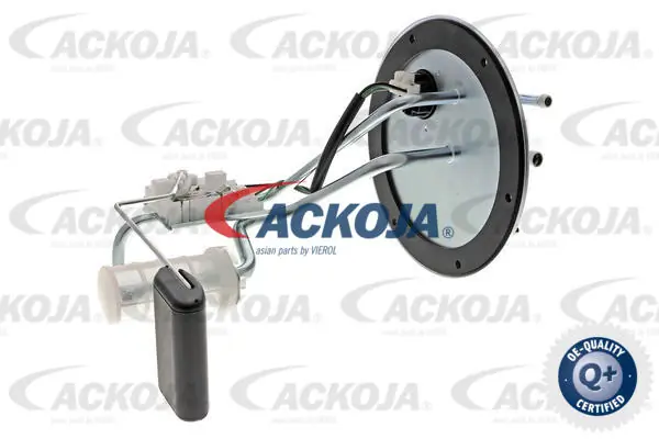 ACKOJA A53-09-0008
