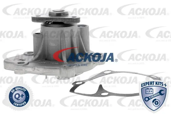 ACKOJA A53-50003