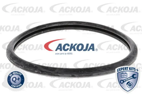 ACKOJA A52-99-0005