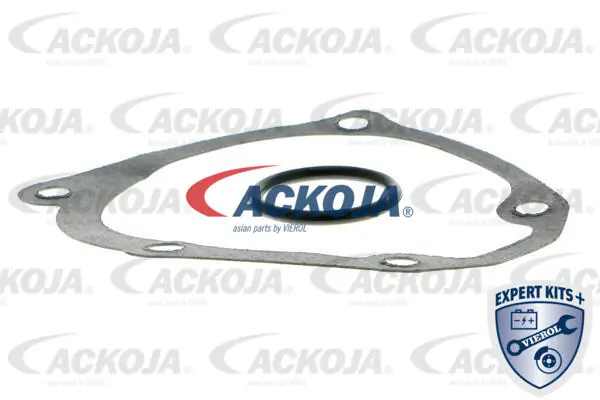 ACKOJA A37-50004