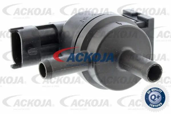 ACKOJA A52-77-0019