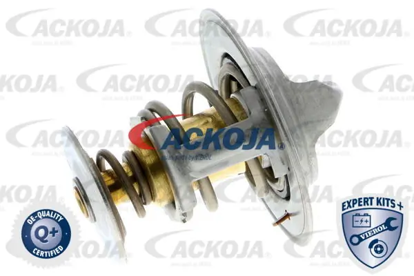 ACKOJA A70-99-0031