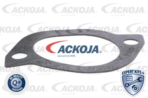 ACKOJA A32-99-1701