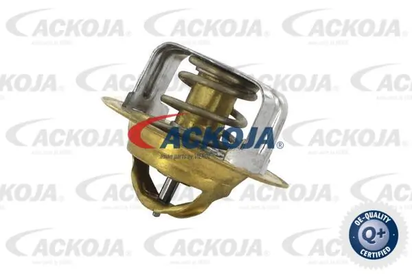 ACKOJA A32-99-1704
