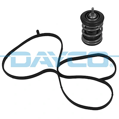 DAYCO DT1264V