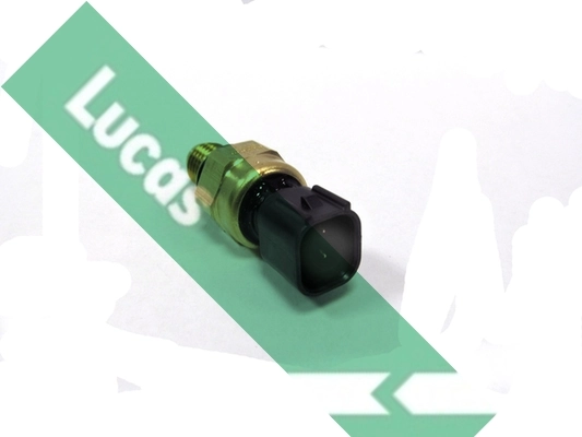 LUCAS SOB7004