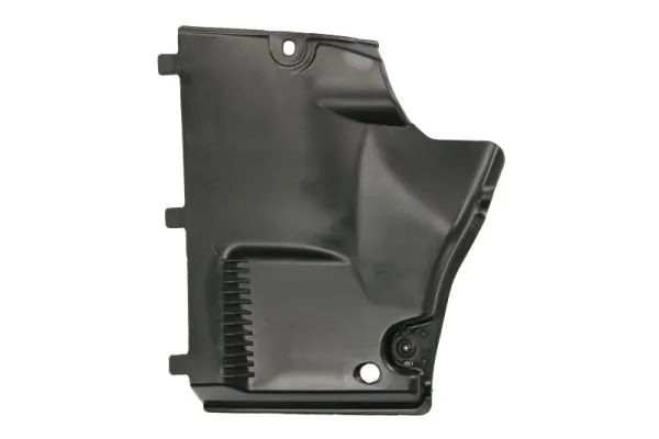 BLIC 6601-02-0029983P