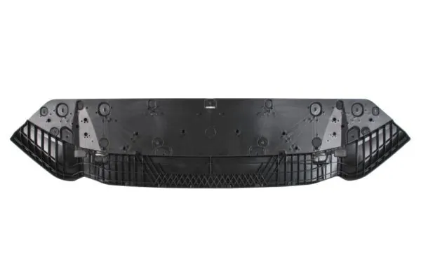 BLIC 6601-02-0030883P