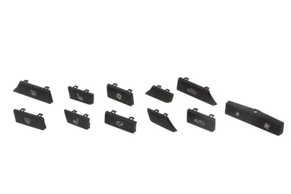 BLIC 1000-00-0067110SP