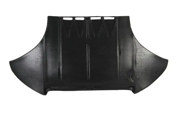 BLIC 6601-02-0051860P