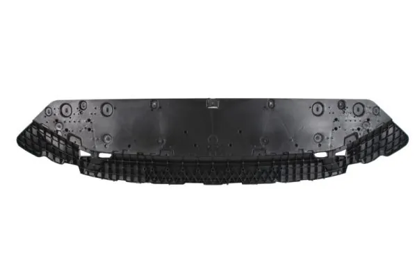 BLIC 6601-02-0030884P