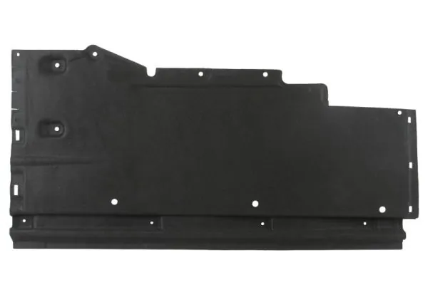 BLIC 6601-02-0029981P