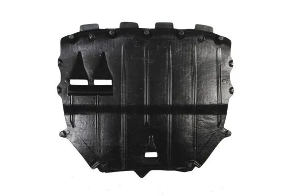 BLIC 6601-02-0021860P