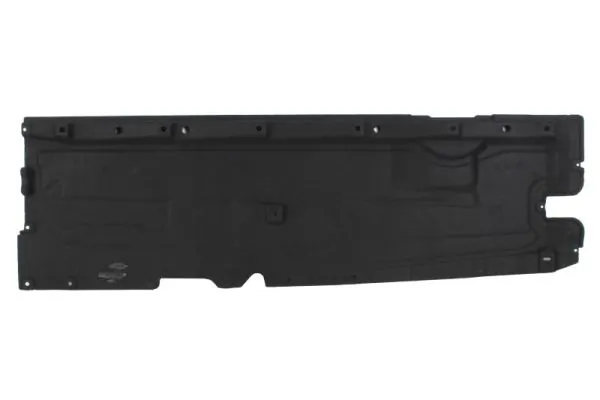 BLIC 6601-02-0043981P