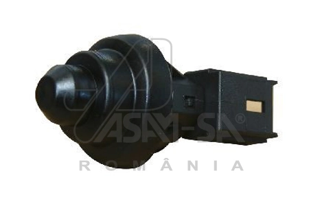 ASAM AUTOMOTIVE 30341