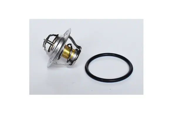 ASAM AUTOMOTIVE 73587