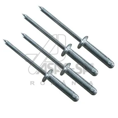 ASAM AUTOMOTIVE 30416