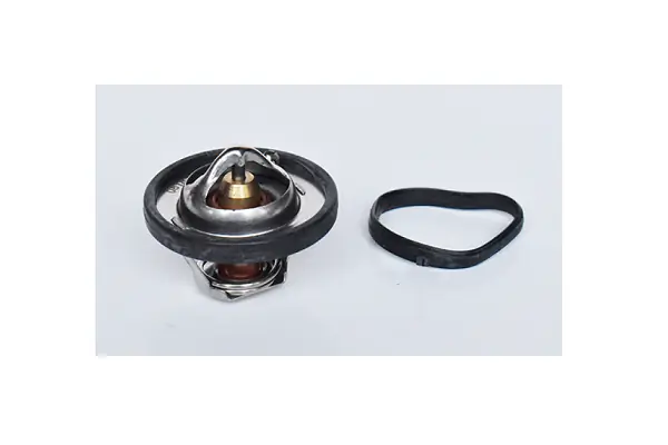 ASAM AUTOMOTIVE 73379